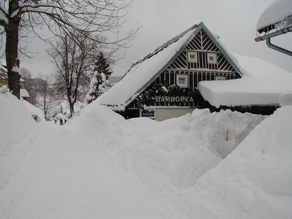 Penzion Barborka Hotel Rokytnice nad Jizerou Bagian luar foto